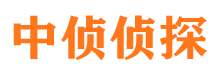 龙海市调查公司